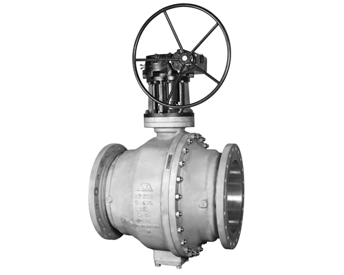 Trunnion mounted ball valve